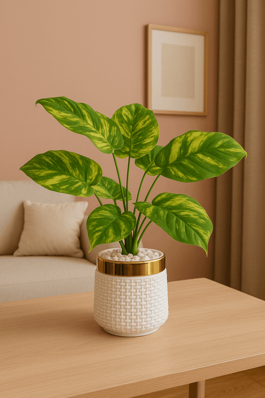 Treasure Green Planter💎 - Naqsh Decor