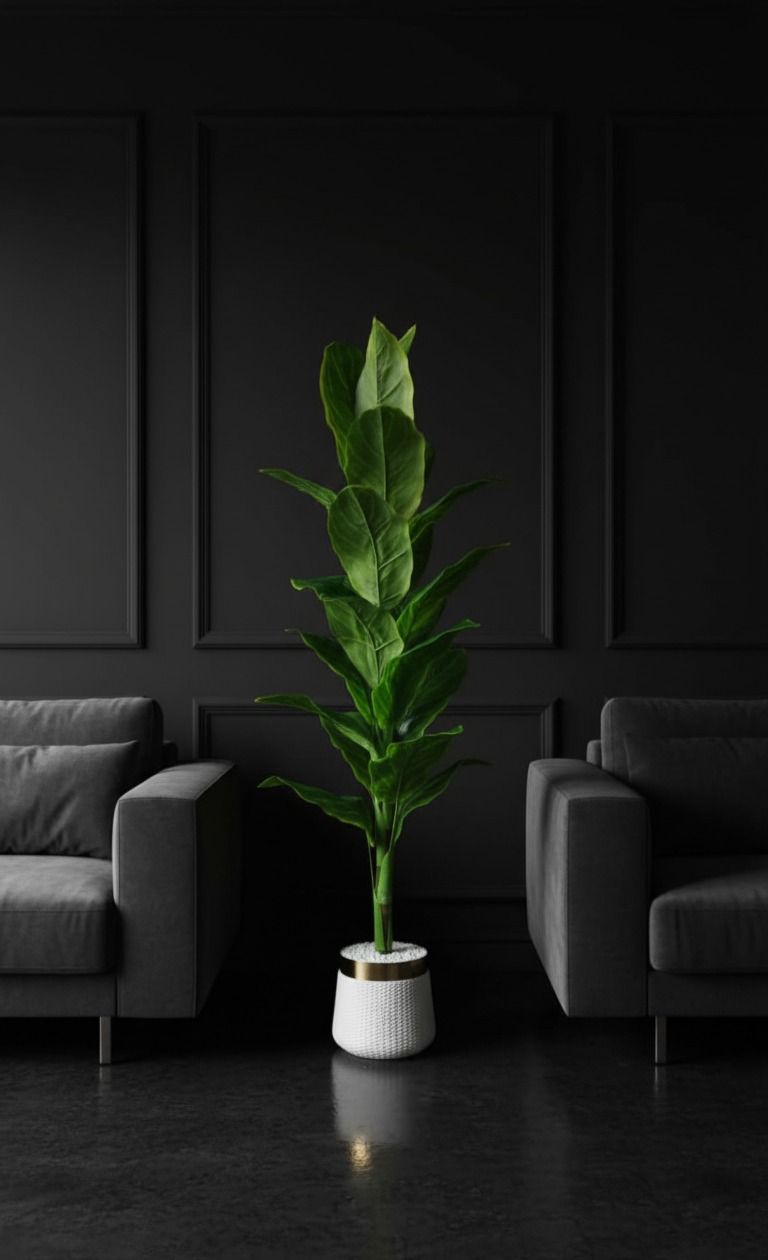 Imperial Planter🌴