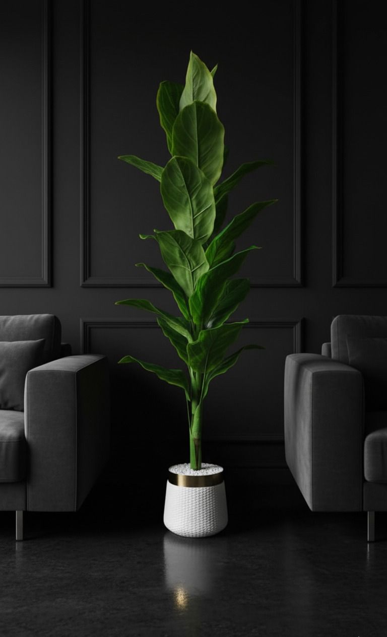 Imperial Planter🌴